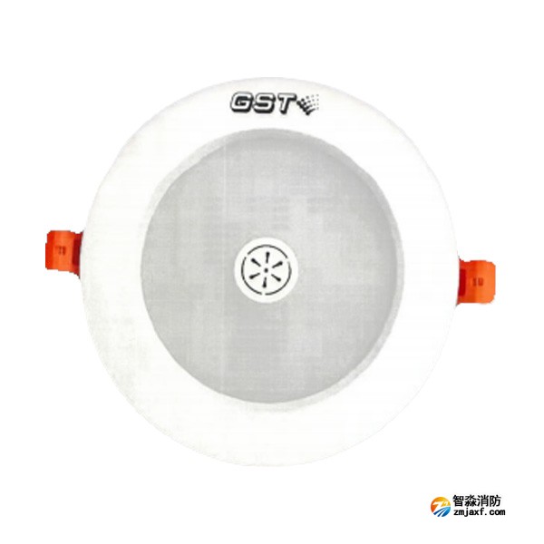 天津海灣HW-ZFJC-E9W-N652SG集中電源集中控制型消防應急照明燈具