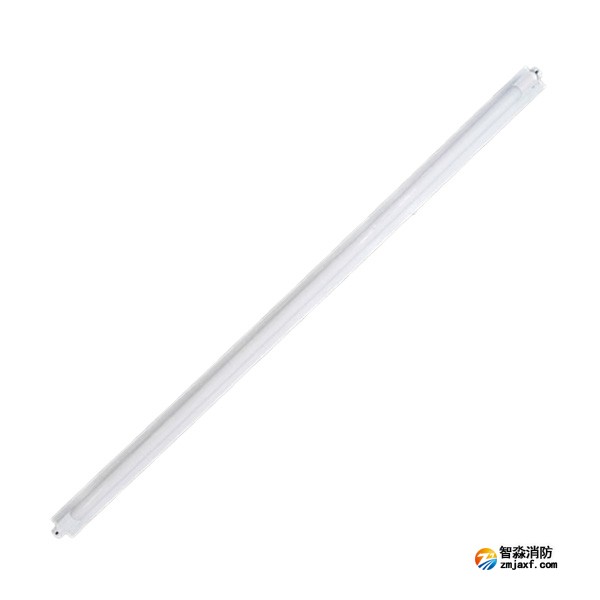 天津海灣HW-ZFJC-E12W-VN673集中電源集中控制型消防應急照明燈具