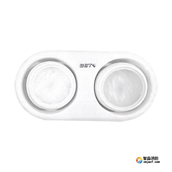 天津海灣HW-ZFJC-E3W-YN663集中電源集中控制型消防應急照明燈具（3W雙頭燈）