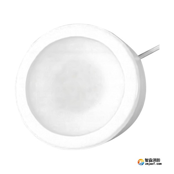 天津海灣HW-ZFJC-E3W-YN650C集中電源集中控制型消防應(yīng)急照明燈具