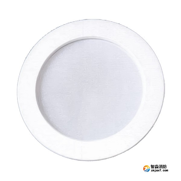 天津海灣SJ-ZFJC-E5W/ZQ5C集中電源集中控制型消防應(yīng)急照明燈具 吸頂/壁掛