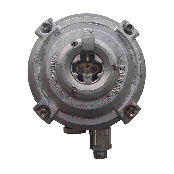 天津海灣D-9107R防爆點型紅外火焰探測器